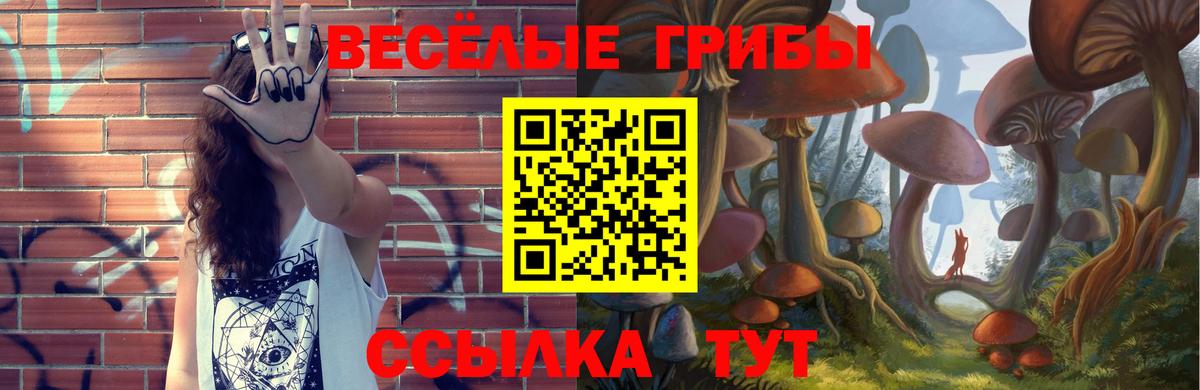 Торжок  Галлюциногенные грибы Cubensis  Вход с VPN 