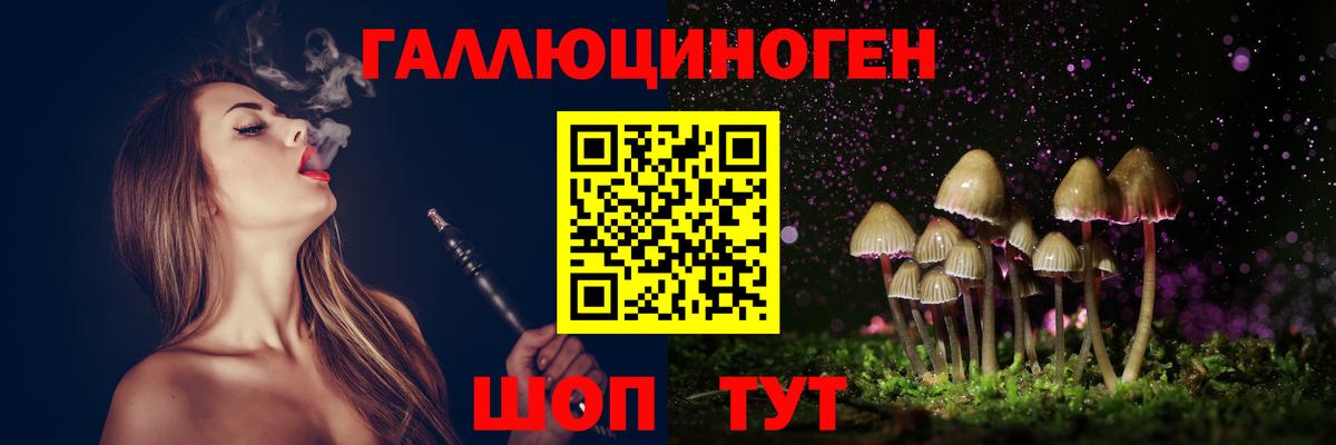 Псилоцибиновые грибы Cubensis Торжок